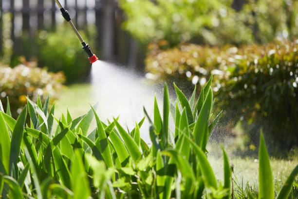 24/7 Emergency Cockroach Control experts in Danville, KY